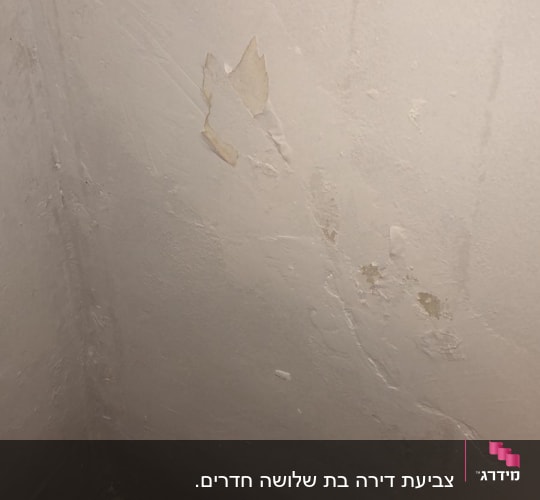קיר מתקלף עם סימני רטיבות ופגמים בצבע